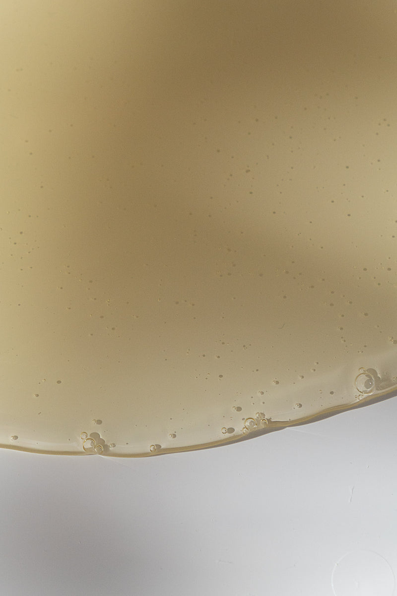 Eucalyptus Hand Soap and Refill Bundle