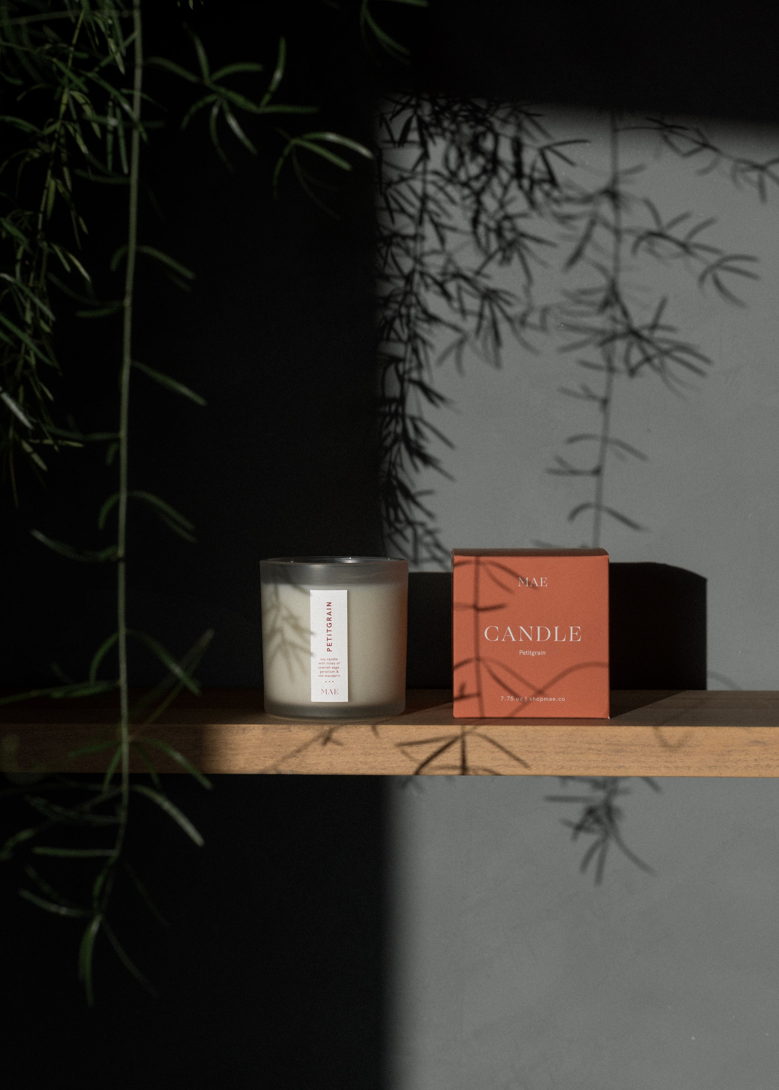 Petitgrain Candle (NEW)