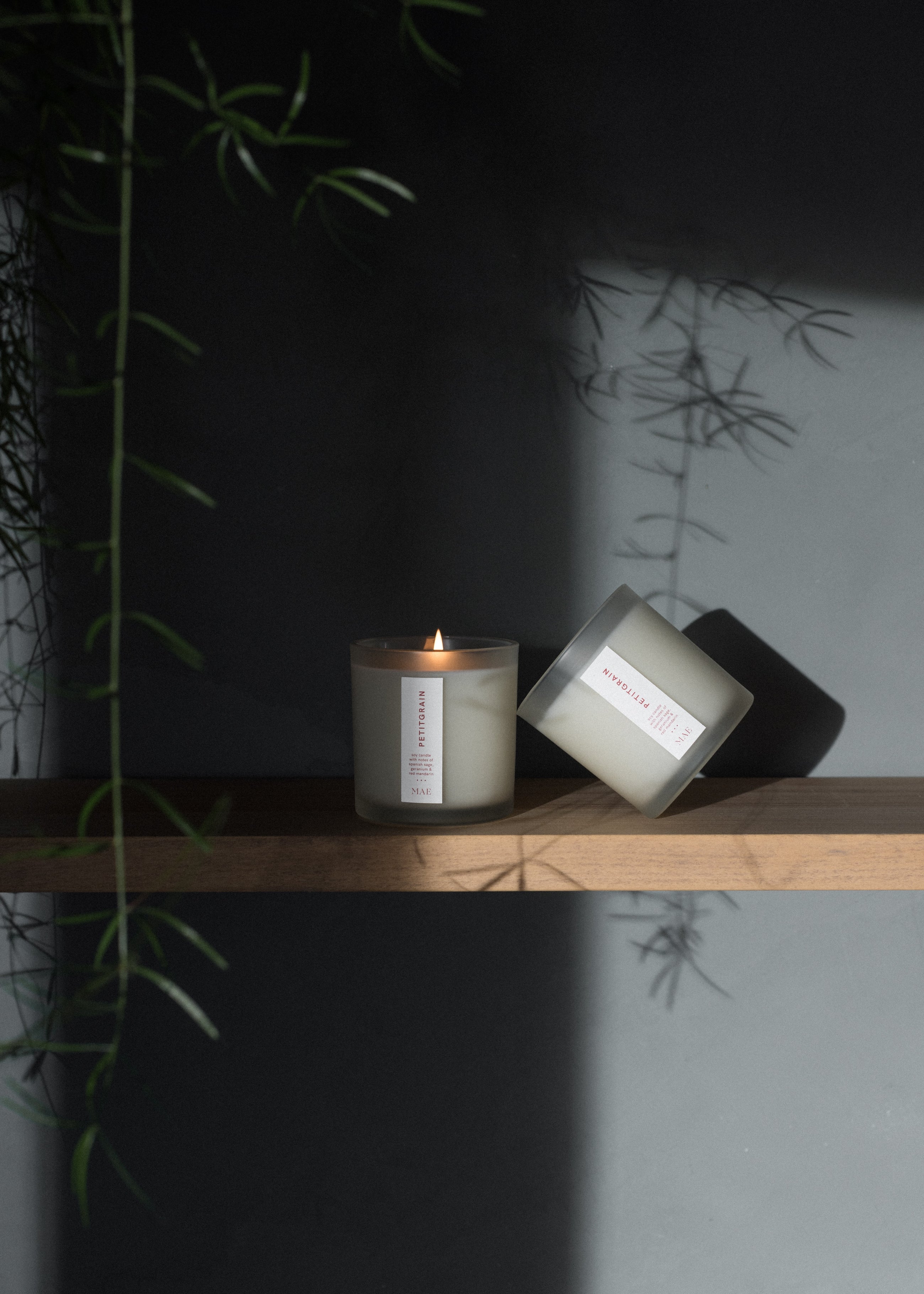 Petitgrain Candle (NEW)
