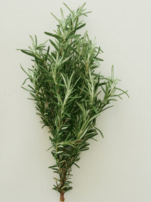 Eucalyptus Hand Soap