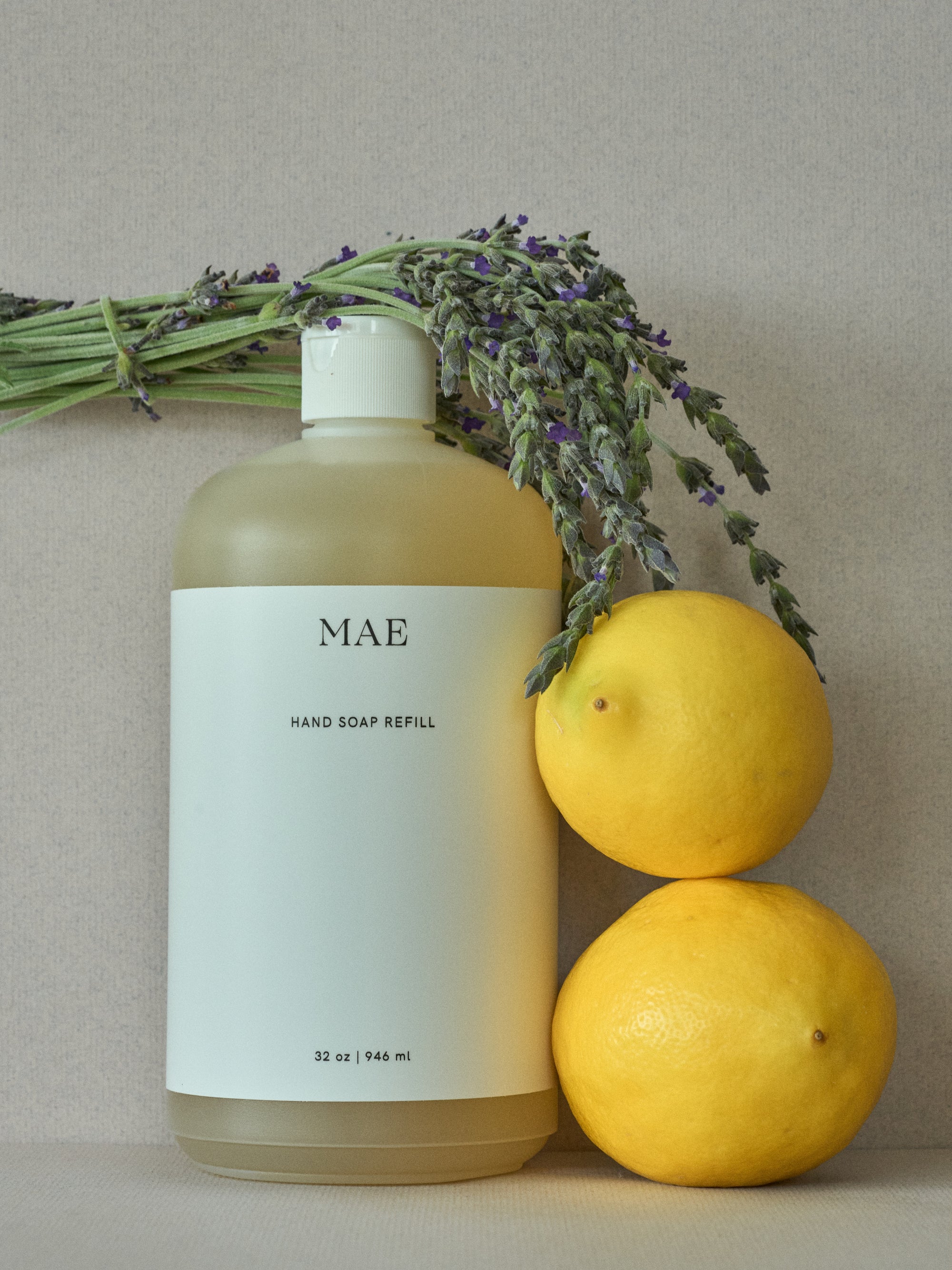 Lavender Hand Soap and Refill Bundle